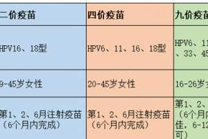 hpv疫苗二价四价九价区别在哪里 -专家解答