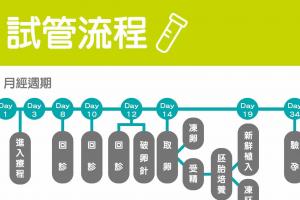 试管婴儿流程大解析，从排卵针到胚胎移植成功