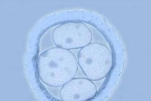 2023没有结婚证私立医院可以做试管婴儿吗？