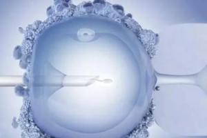2023吉林助孕生子试管婴儿医院排名前十，附试管生男孩费用一览！