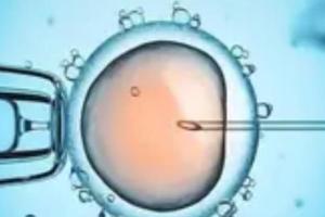 2023新疆三代试管生男孩医院名单，附试管生子最新费用清单！