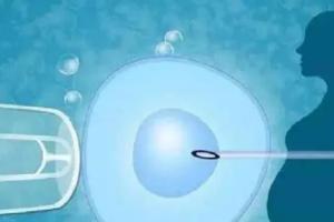 河源三代试管生男孩费用清单，满足医学指征才能实现愿望！