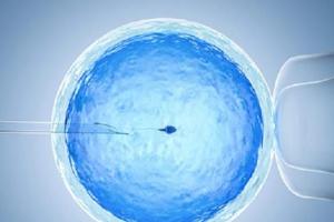 夫妻可以正常怀孕但是想要男孩可以做试管吗？