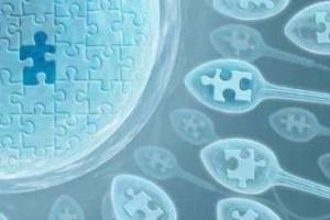 做第三代试管婴儿选性别要花多少钱？附费用明细表？