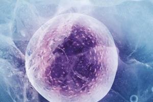 上海三代试管试管婴儿具体要花费多少？附试管费用明细