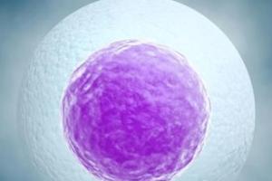 54岁超高龄能做自卵第三代试管婴儿生男孩吗？泰国试管成功率有多少？