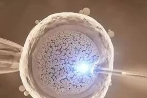 江苏三代试管生男孩几率大吗？费用多少？