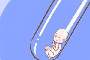 试管婴儿鲜胚和冻胚哪个男孩几率高？