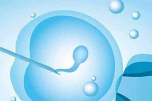 2024最新天津试管婴儿医院前十排名?附试管生男孩成功率一览!