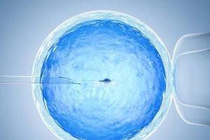 生男孩可以人工受孕吗？附详细生男孩方法？