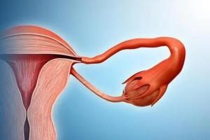 幼稚子宫可以做试管婴儿吗？专家解读幼稚子宫如何怀孕！