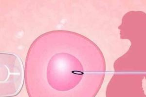 女性子宫被切除还能做试管吗？专家给出了否定的答案！