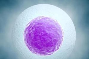 本人未婚想生孩子请问没有结婚证可以做试管吗？