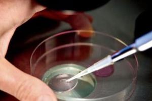 南宁三代试管生男孩费用多少？附费用构成