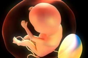 人工受精的孩子和正常孩子有区别吗？从4个方面分析到位