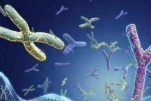 做试管男婴儿的全部费用大概是多少?附费用明细表