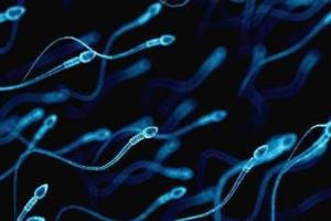 男的精子活率多少可以做试管婴儿？反正不能低于这个数