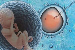 申请精子库精子做人工受孕还是试管婴儿助孕率更高？