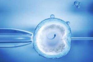 单角子宫做试管婴儿成功率高不高？能不能一次成功？