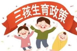 二胎生育保险报销怎么报多少钱啊？