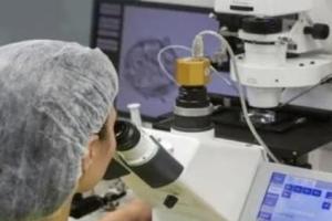 2024第三代试管婴儿选男孩概率大吗有多少？