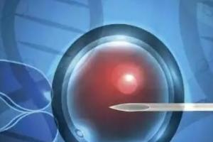 2024最新成都做三代试管男孩价格?