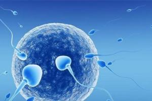 高龄女性做试管生孩子和备孕生孩子哪个成功率更高？