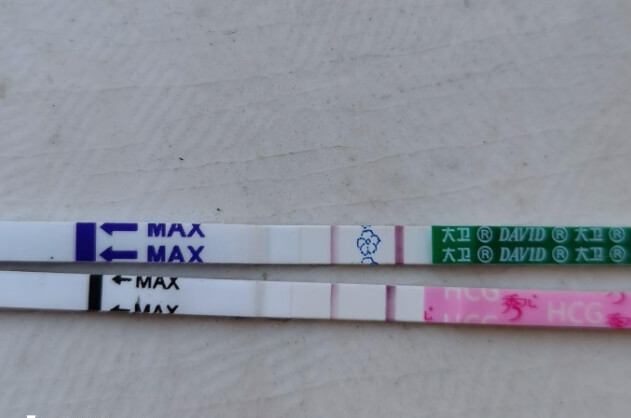为什么胚胎移植十天试纸淡化