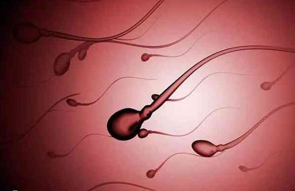 一天排一次精子质量怎么样