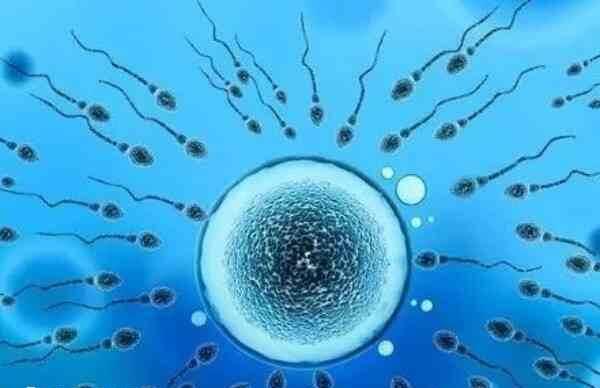 做试管婴儿怎么取精的