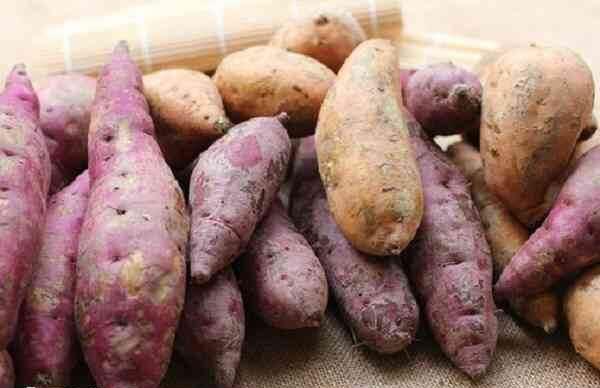 宝宝能不能吃块状食物