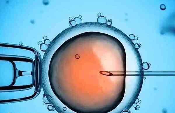 美国第三代试管婴儿技术怎么样