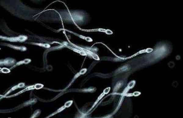 胎儿畸形与精子畸形有没有关系