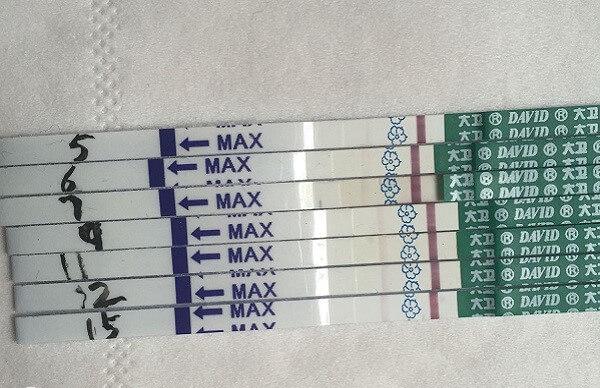 移植囊胚血值怎么翻倍