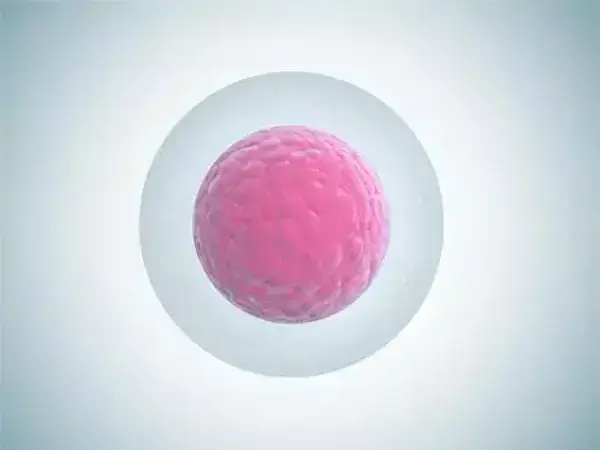 amh0.9试管婴儿成功率多大
