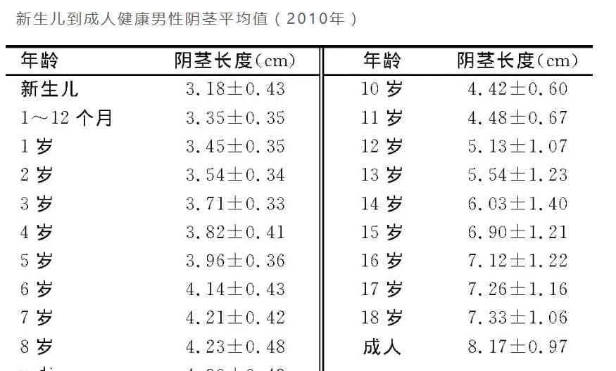 小JJ长度多少