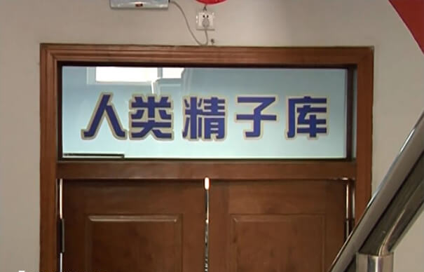 广州供精人授要什么条件