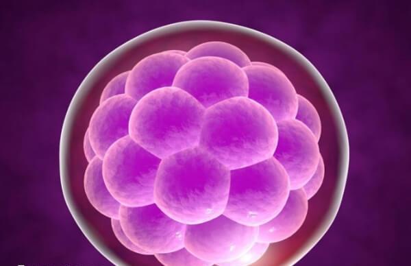 基础卵泡少能不能做试管