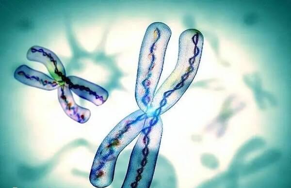 十大遗传病不适合结婚