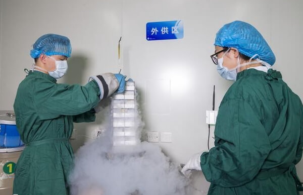 石家庄供精试管婴儿须满足哪些条件