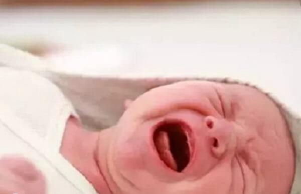 新生宝宝的语言情感