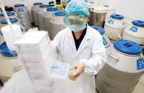 北京申请供精的条件有哪些