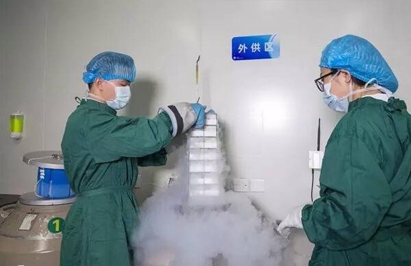 北京供精人工授精成功率有多高