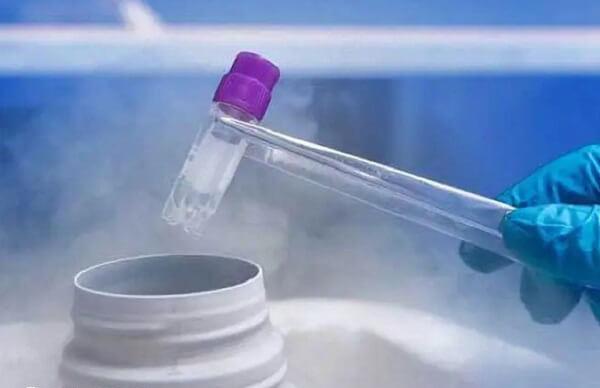 冷冻精子对试管婴儿有没有影响