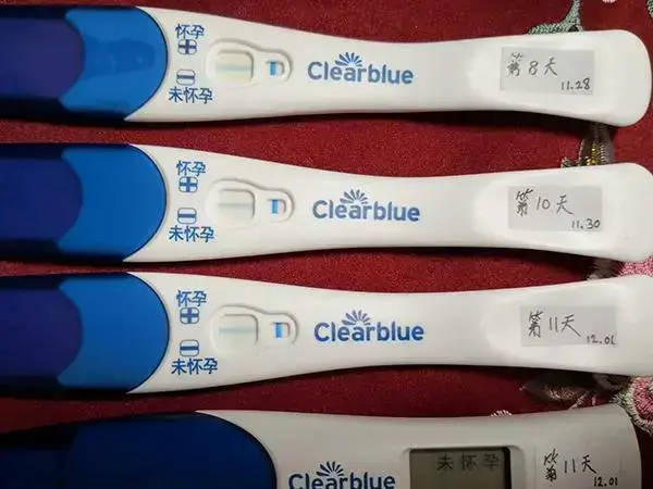 加号验孕棒怎么看结果