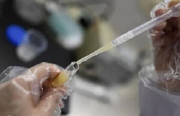 英国哪里精子库较好