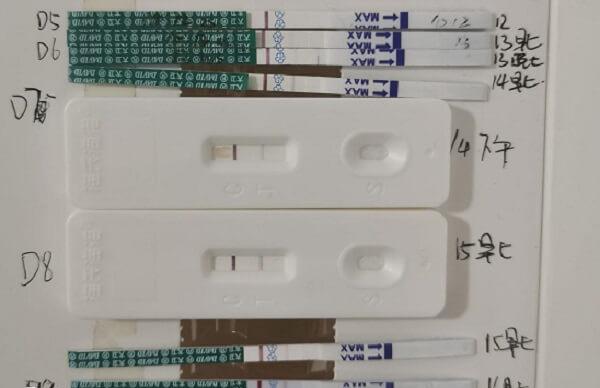 试管囊胚移植后10天测出一深一浅