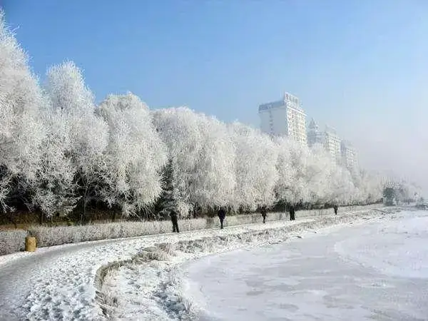 孕妇梦见下大雪是什么预兆