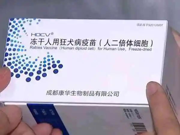 小孩打了狂犬疫苗能否吃海鲜