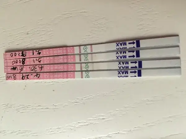 排卵试纸一直是弱阳的原因有哪些